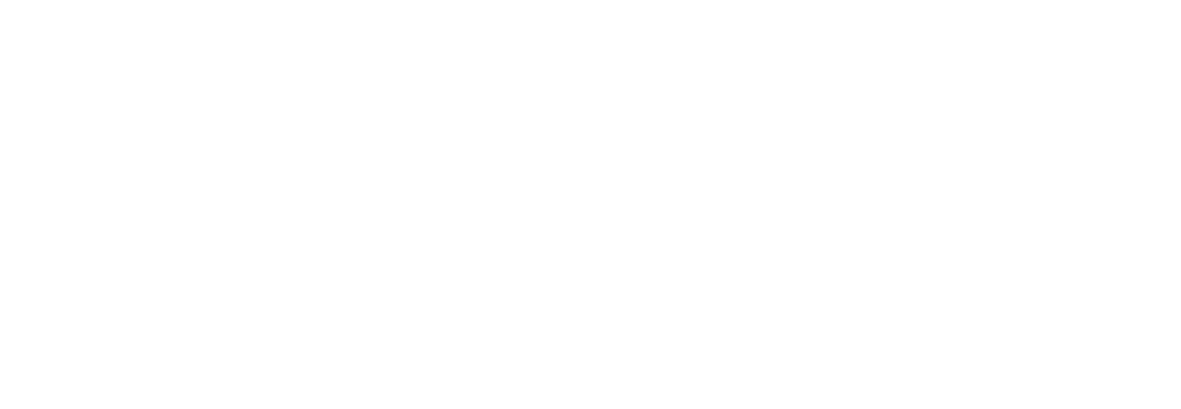 Audi Dealer Network